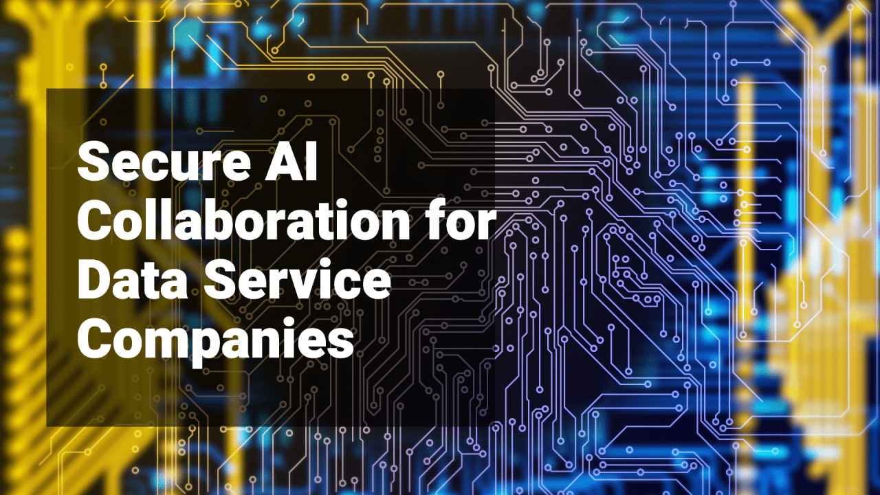 Secure AI Collaboration for Data Service Companies